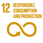 12.RESPONSIBLE CONSUMPTION AND PRODUCTION
