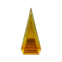 企業競爭力發展協會國家品牌玉山獎