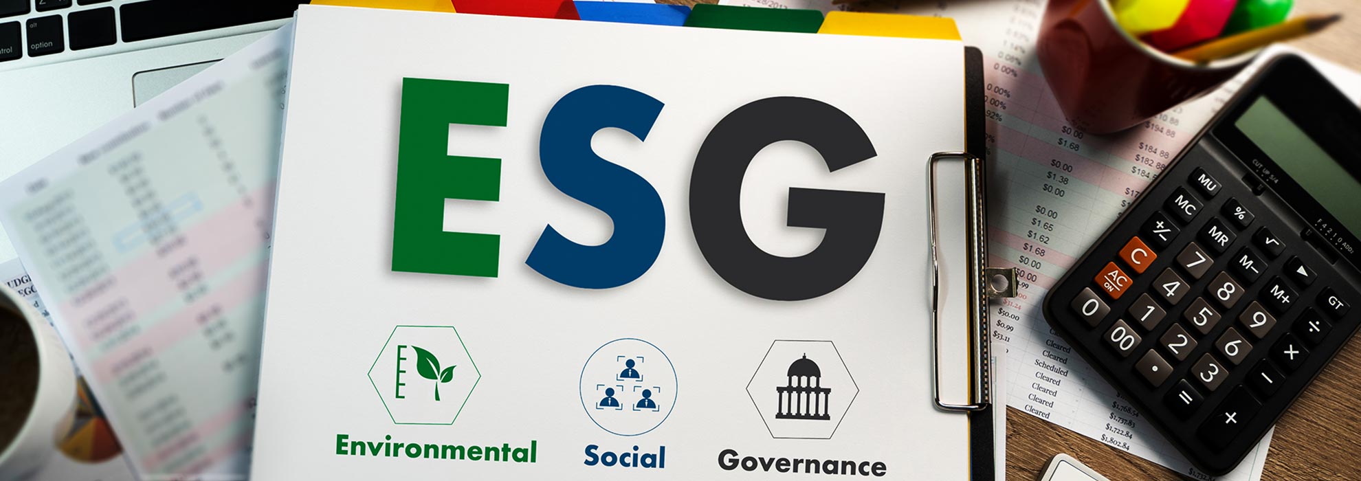 Sustainable Governance