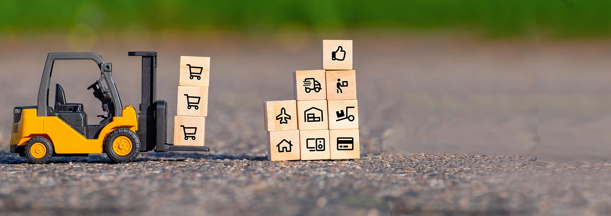 Sustainable Value Chain