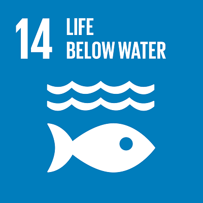 SDG 14 LIFE BELOW WATER